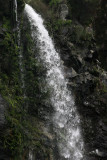 071214 1c The Waterfall at Gunung Gede-Pangrango NP.jpg