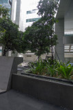 20120517 - 0004 - VMG - Singapore site visits.jpg