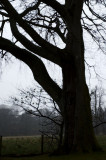 30th March 2011 cold and misty
