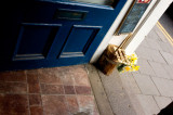 16th April 2011 <br> spring through the door