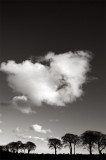 22nd April 2011 <br> Good Friday