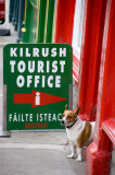 15th July 2011 <br> Kilrush