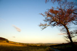 12th November 2011 <br> in search of the sun