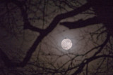 7th February 2012 <br> frosty moon