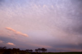16th March 2012 <br> pinkish sky