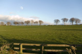3rd May 2012 <br> spring on the hill