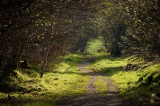 8th May 2012 late sunshine