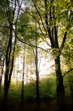 DSC_0049 copy.jpg