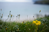 7th August 2012 <br> at the north coast
