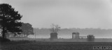 Barns in the Fog
