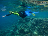 Tusa Dive ~ Cairns