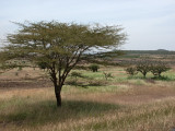 Tanzania