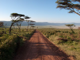 The road to the crater floor