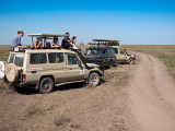 IMG_1956wp750.jpg
