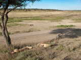 IMG_1978wp750.jpg