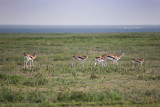 _MG_6467wp750.jpg