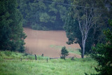 Flooding March 2012