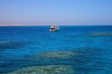 9284 Jackson Reef Toran Island.jpg