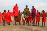 3096 Jumping Maasai.jpg
