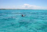 7118a Paul Snorkling Zanzibar.jpg