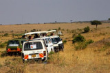 2818 Tourist watching lions.jpg