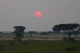 4510 Sunrise Queen Eliz Nat Park.jpg