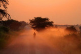 4536 Dusty sunrise QE Nat Park.jpg