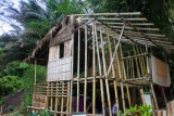 10052 Bamboo House Eden.jpg