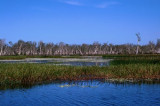 Kakadu National Park