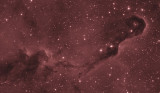 Elephant nebula