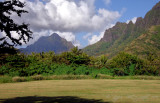 Scenery Oahu HI