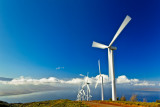 22917 maui windmills .jpg