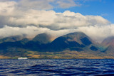 West maui 16205_1.jpg