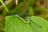 20120701_109w.jpg