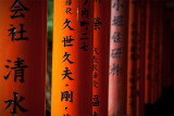 Fujimi Inari Shrine 伏見稲荷大社