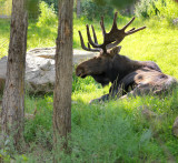 COLORADO SPRINGS ZOO_0009.jpg