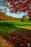 Fall Behind 13th Green.jpg