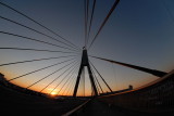 DSC_3511 - Anzac Bridge