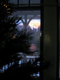 Christmas Tree and Petersburg Mountain