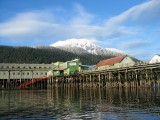 Ocean Beauty and Petersburg Mountain