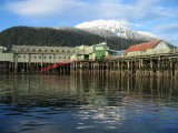 Ocean Beauty and Petersburg Mountain