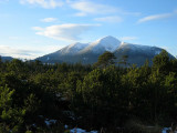 Muskeg and Bear Claw Mountain