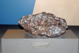 DSC_6395 Meteor Crater Chunk.jpg