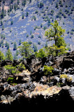 DSC_6699 Sunset Lava Flow.jpg
