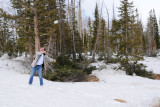 DSC_6896 Snowball on 89A.jpg