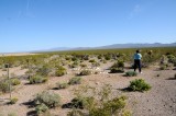 DSC_7038 Rhyolite Cemetery.jpg