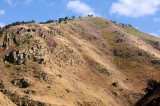 DSC_7137 California Purple Mountain.jpg