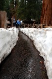 DSC_7189 Path Around General Sherman.jpg