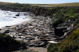 DSC_7337 Seal Beach Near San Simeon.jpg