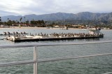 DSC_7467 Pelican Barge.jpg